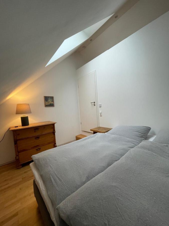 Schoene Apartments Auf Dem Weingut Schaetzel Nierstein Extérieur photo