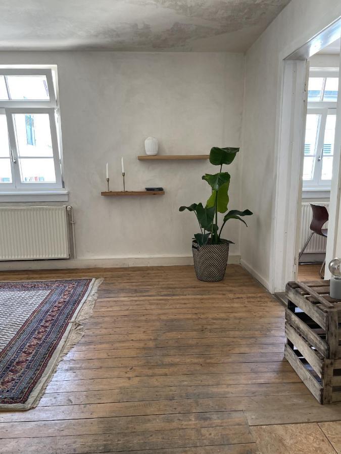 Schoene Apartments Auf Dem Weingut Schaetzel Nierstein Extérieur photo